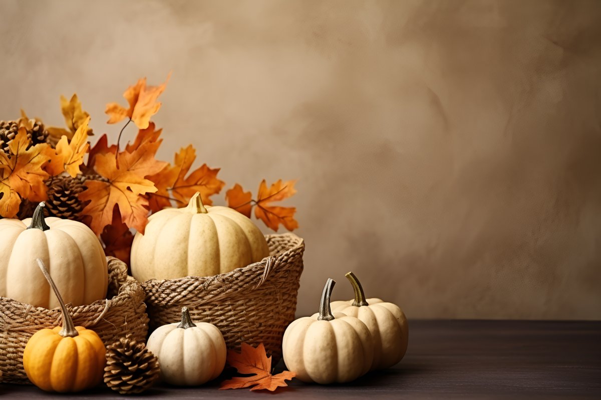 StemmerUSA's tweet image. Grateful this Thanksgiving for the innovators and partners who make progress in imaging possible. Thank you for driving vision forward with STEMMER IMAGING USA. 

#Thanksgiving #MachineVision #ImagingInnovation #STEMMERIMAGINGUSA