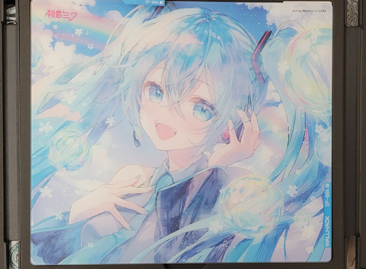 LabedaSH's tweet image. What a beautiful mousepad...
@WallhackHQ cooked with this one