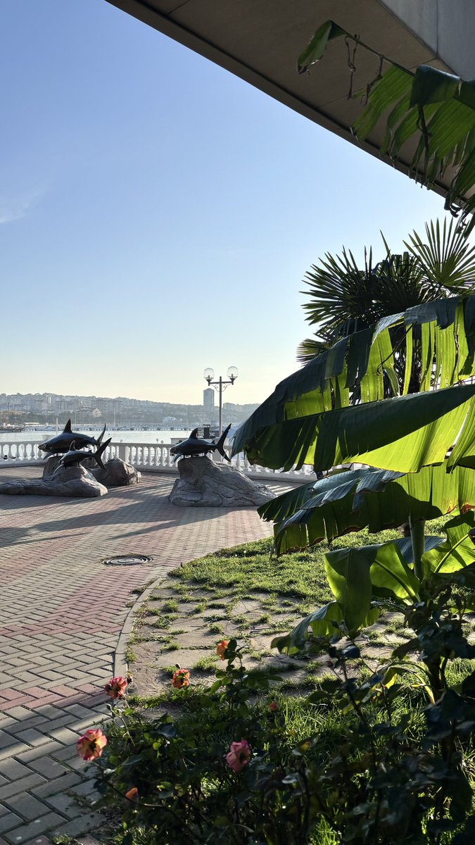 Сегодня был бы хороший денёк,если б не моё постоянное  головокружение , прекрасный денёк🤕.Невролог назначила МРТ головного мозга. Напоминаю :после того , как я 3 октября увидела во сне папу ( покойника ) -он пытался лечь ко мне в кровать ,мои проблемы со здоровьем продолжаются😏