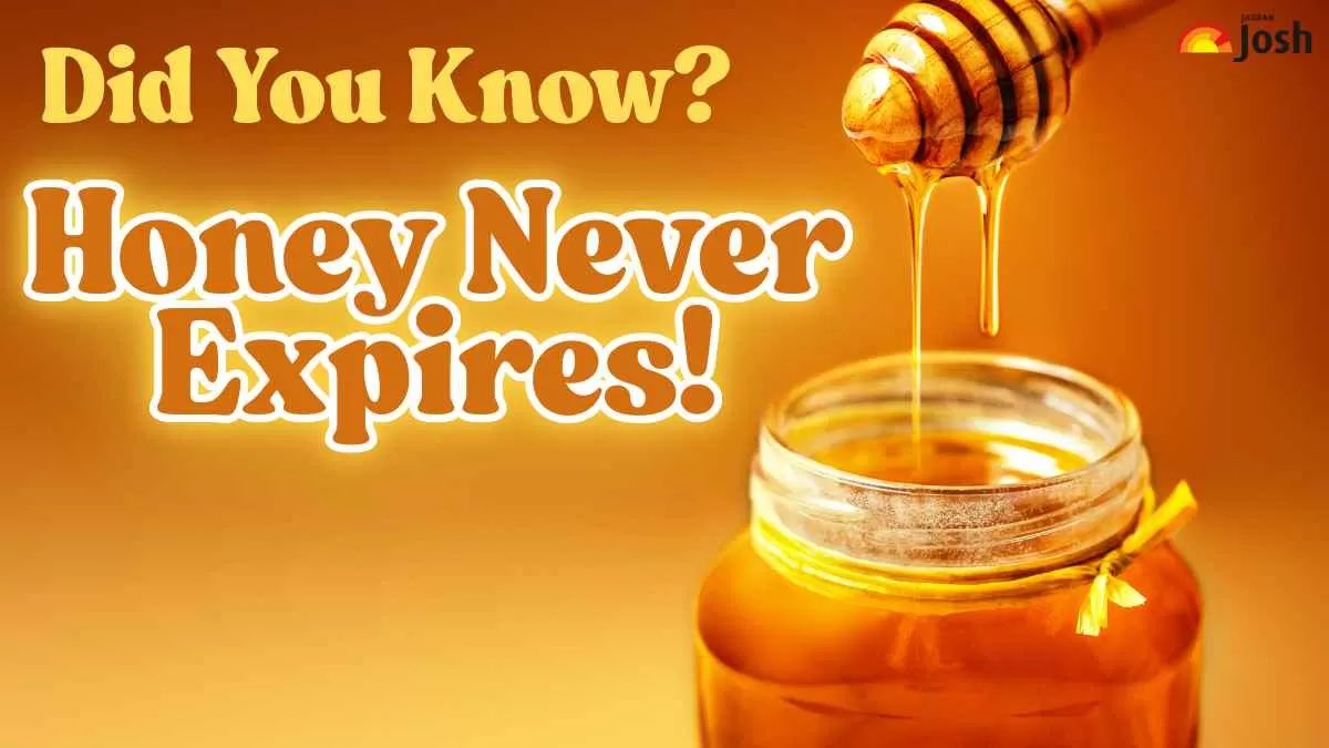 SimoKohonen's tweet image. Truly the ultimate solution to all problems