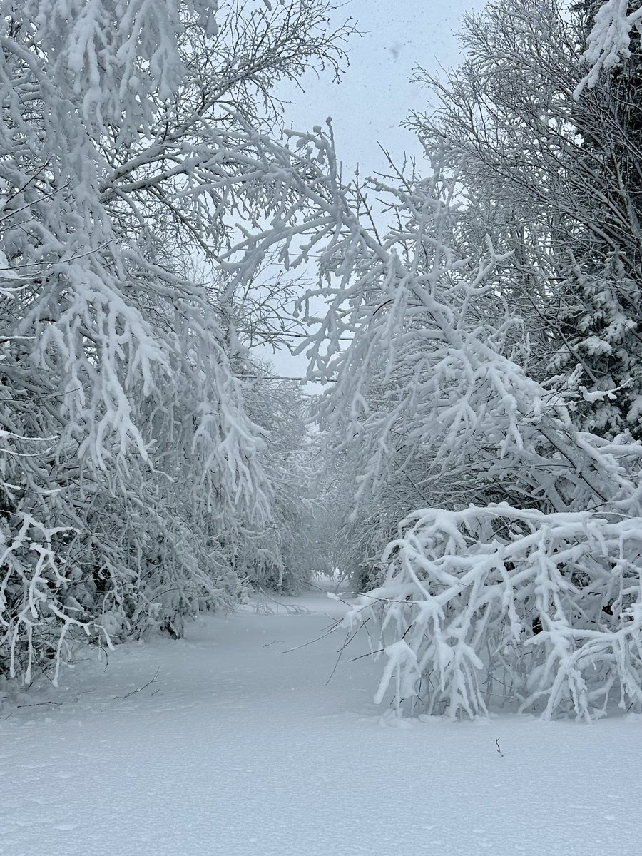 btleparadis's tweet image. Ça passe plus 😅 pas de visite aujourd’hui 😉