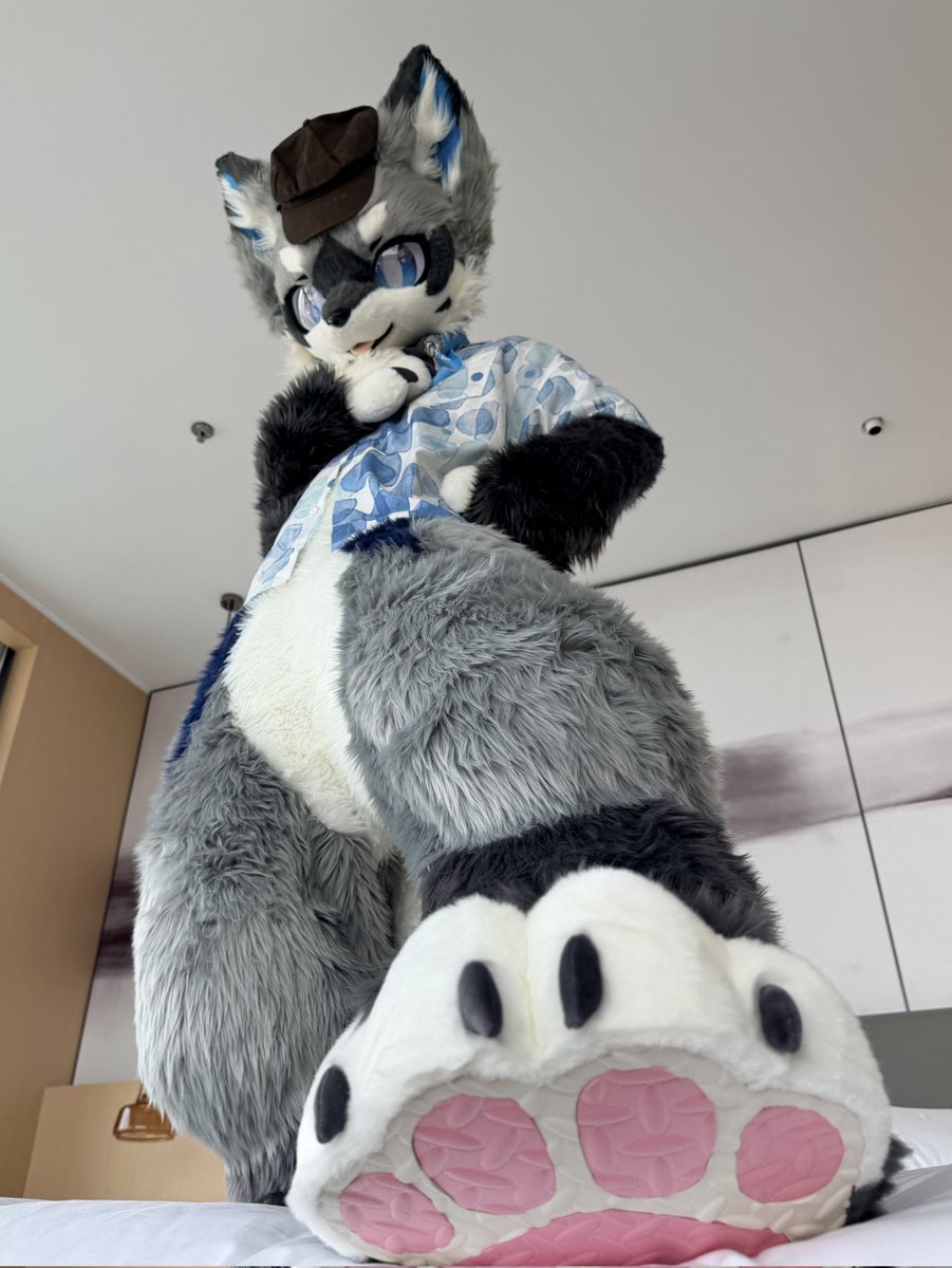 快来让我踩踩~

📷： <a href="/Charles_li_qwq/">查尔Charles</a> 
#furry #FursuitFriday #fursuit