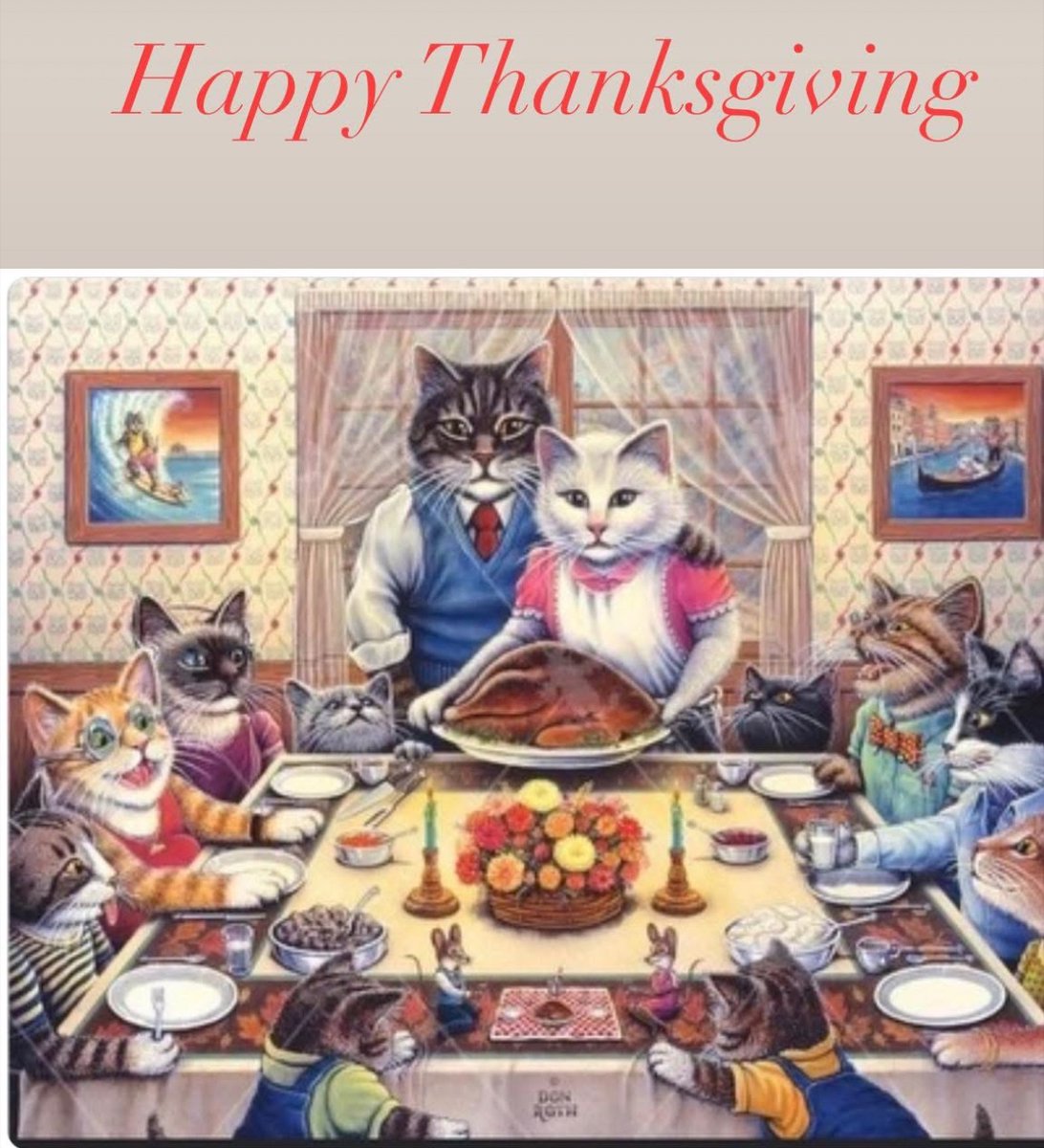 Gigiishere😺 (@gigiishere2024) on Twitter photo 