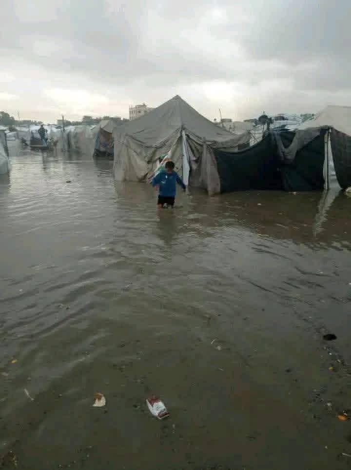 Ce monde a définitivement perdu son humanité à Gaza en s'adaptant aux pratiques des génocidaires.