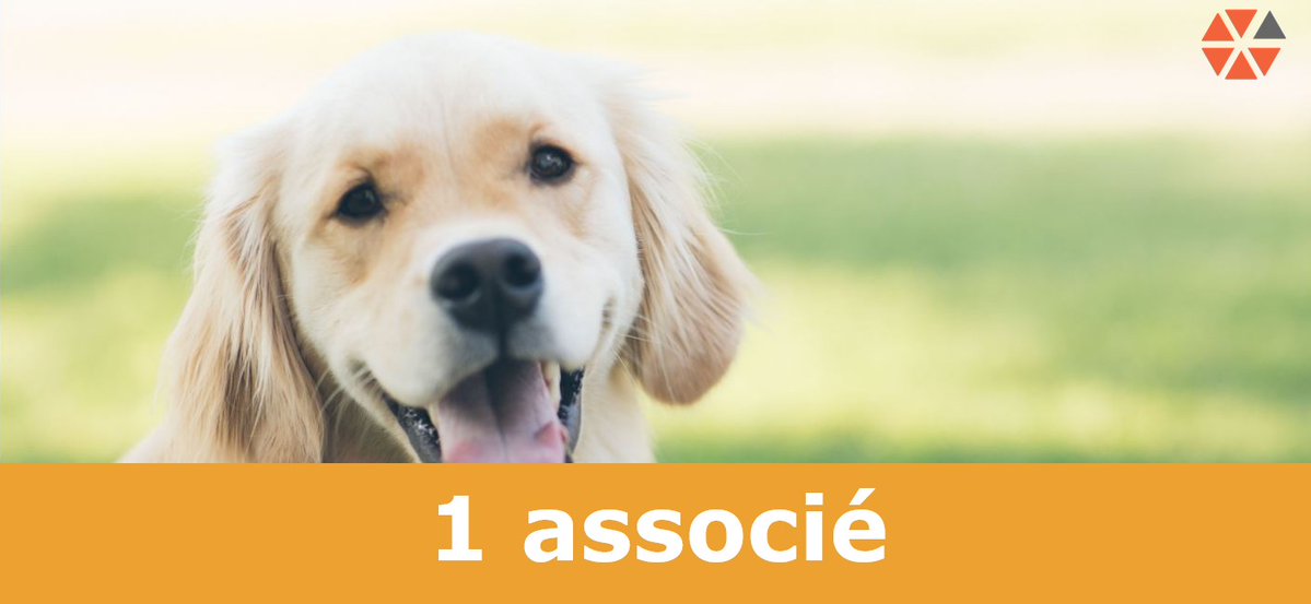 biznessful's tweet image. QUI VEUT ÊTRE SON ASSOCIÉ ? 🐶

Wiskora, plateforme b2b2c pour les pros du secteur animalier, recherche un #associé dans le domaine de la finance, de la commercialisation et / ou du marketing.

urls.fr/O7oKXJ

#animal #businessdeveloper