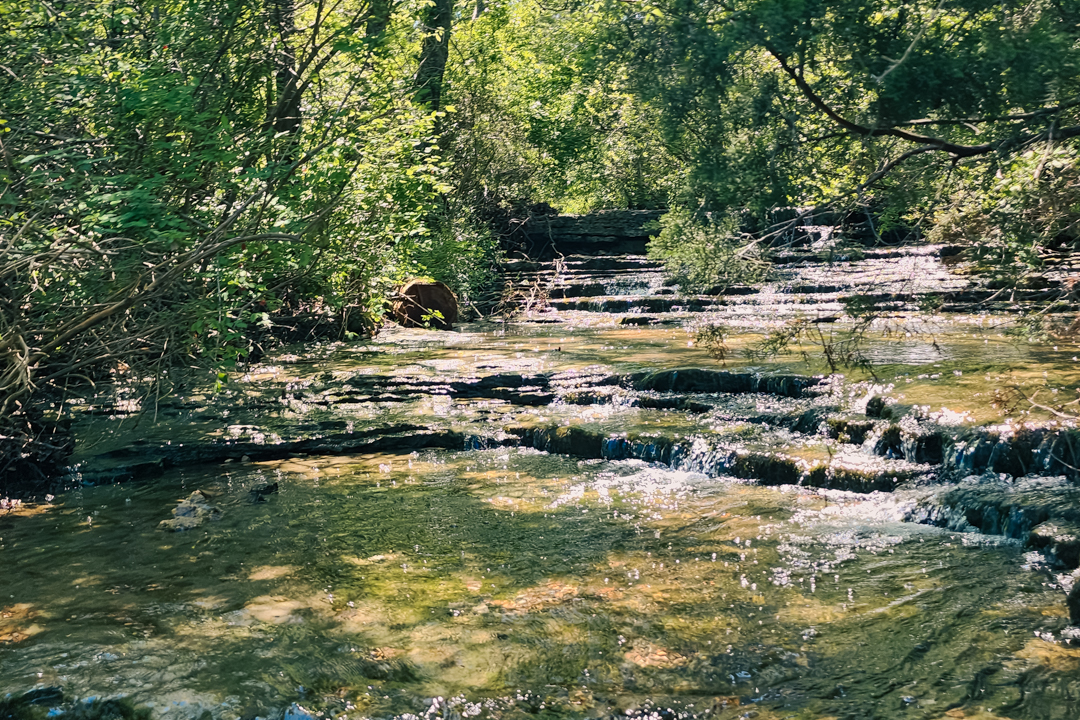 laketherapypics's tweet image. I’ll come back here with my big camera someday. But this version—the spur-of-the-moment, no-plans, real-life version—is its own kind of beautiful.