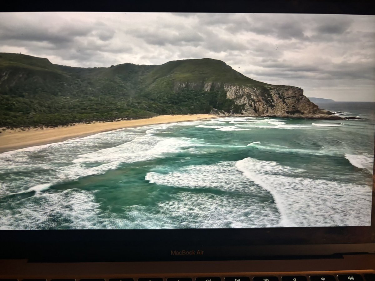 The Godmother tweet media