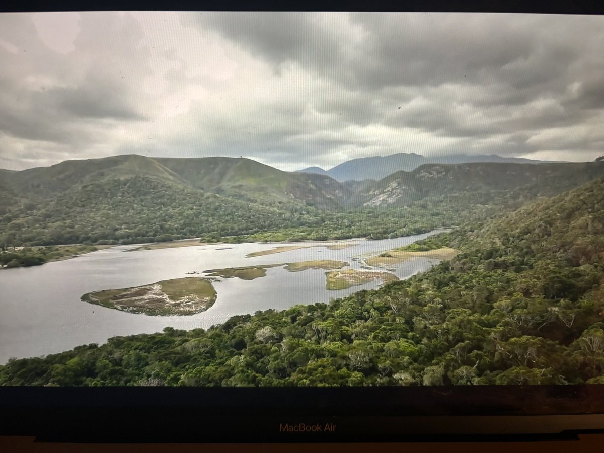 The Godmother tweet media