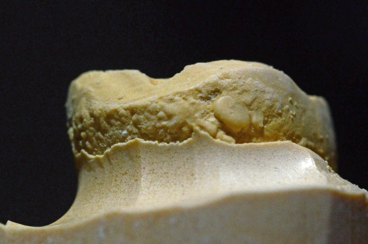 眠ぬこ (@MasakiK36991531) / Posts / X