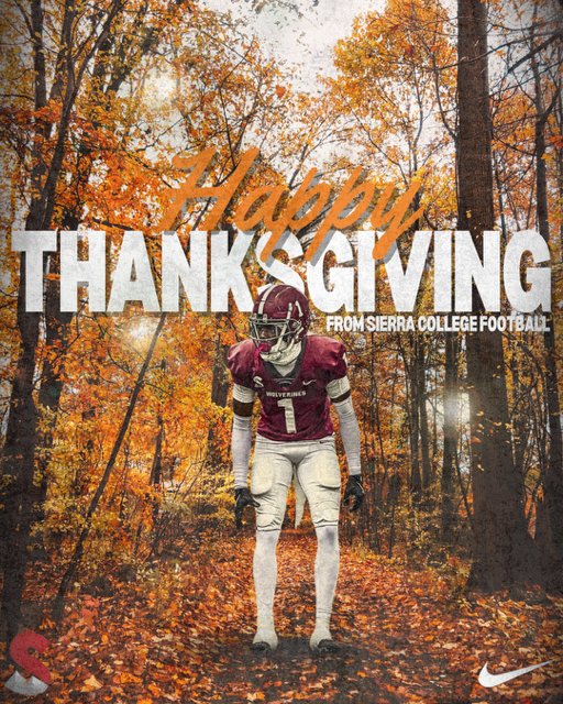 Ben Noonan 🐾 tweet media