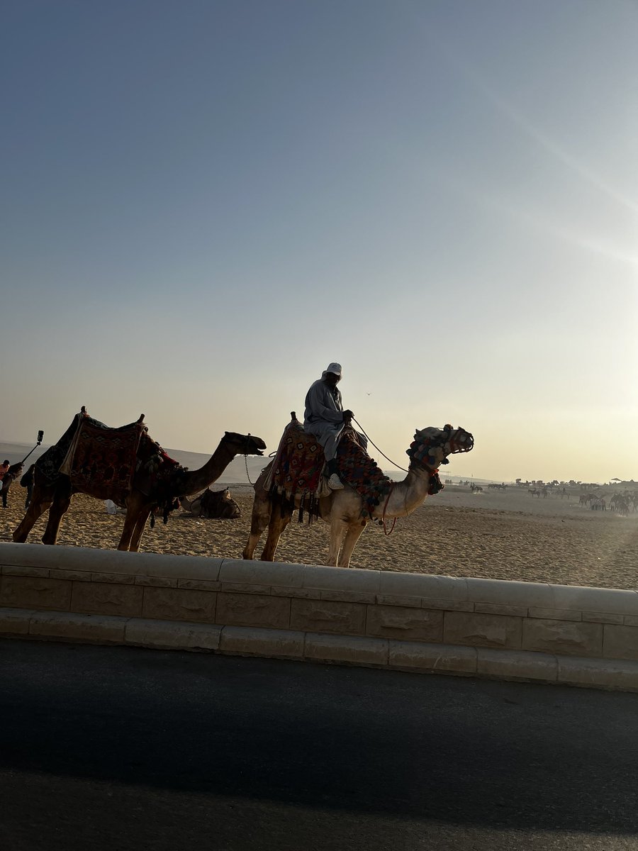 shimaaEALDeep's tweet image. 