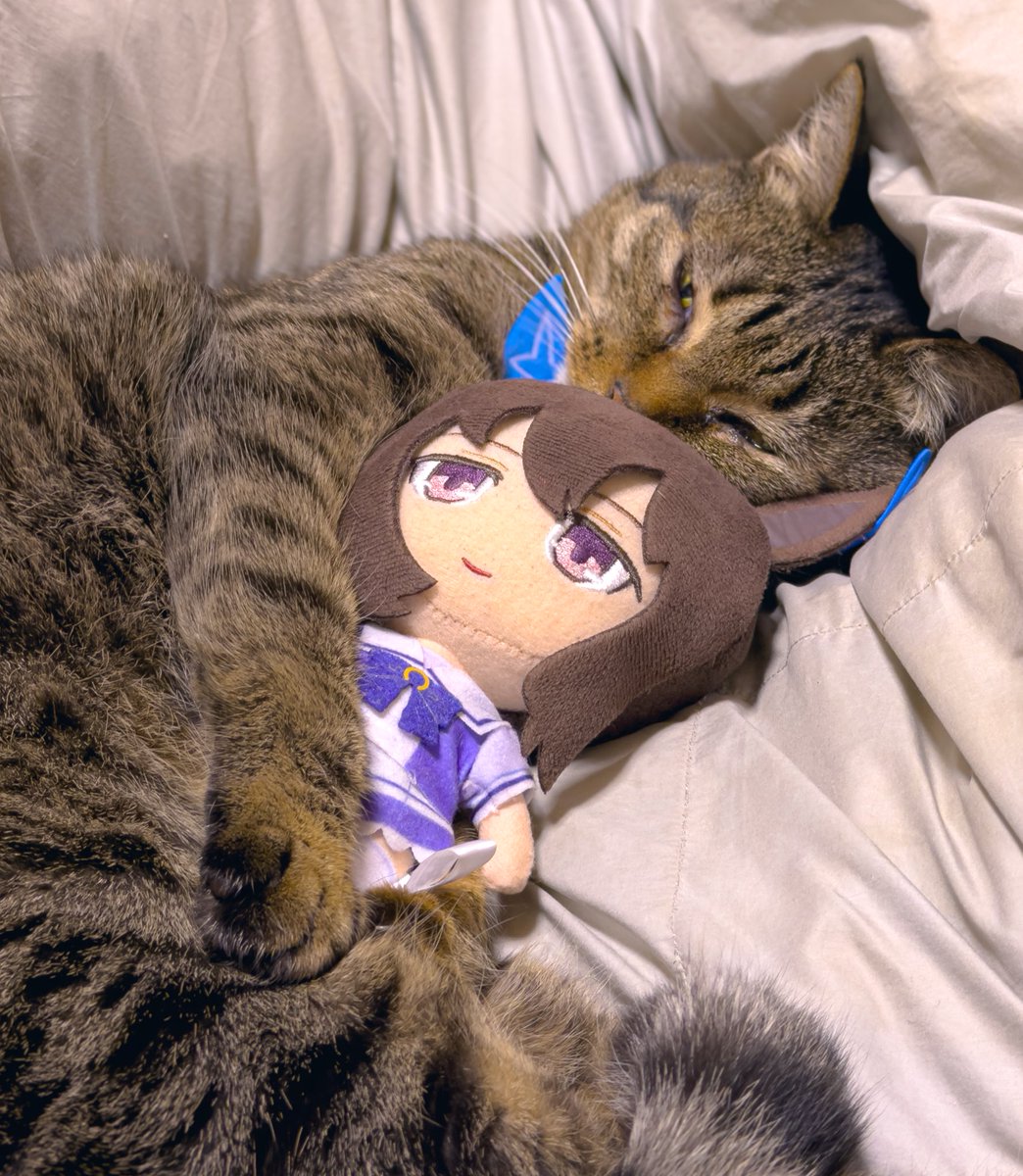 プロフィール必読お願いします。 有難うございます⑅︎◡̈︎