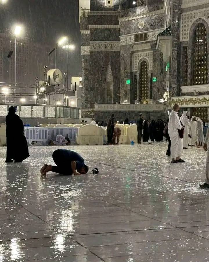 aladb_2020's tweet image. لا تَرتَجـي مِـن عبادِ الله مَسألةً 
فَالعبدُ عَبدٌ وربُّ العَبدِ مَن يَهَبُ