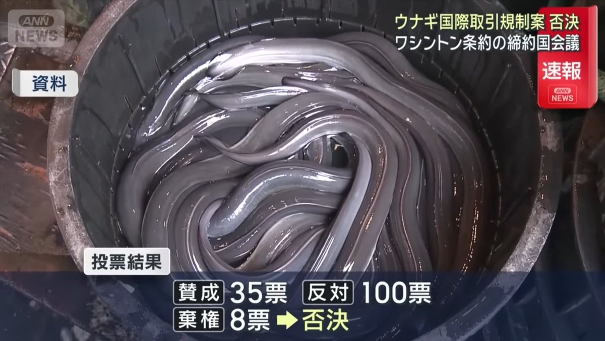 shulmj_'s tweet image. 日本の本気のロビー活動すごい