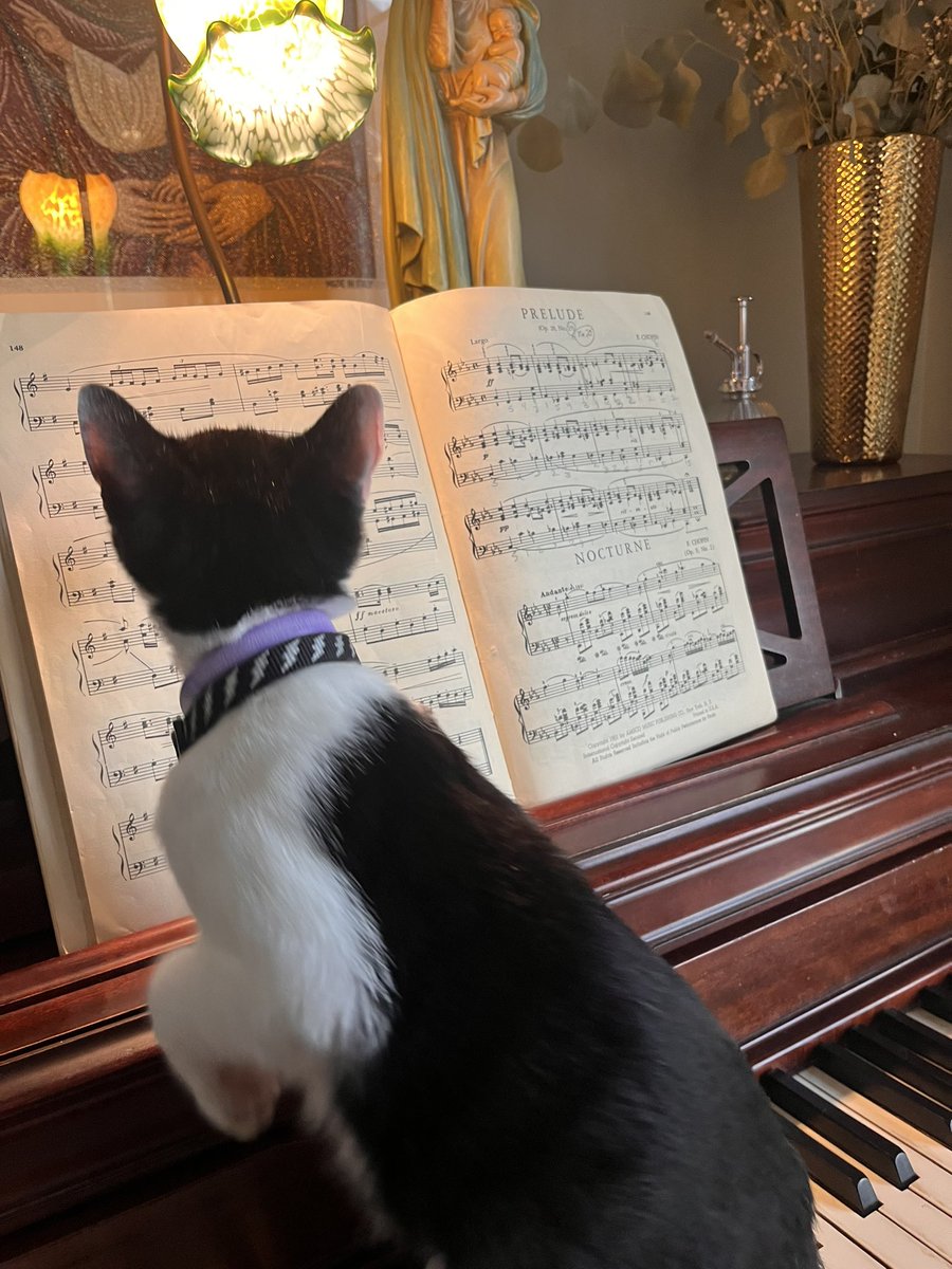 He’s an intellectual