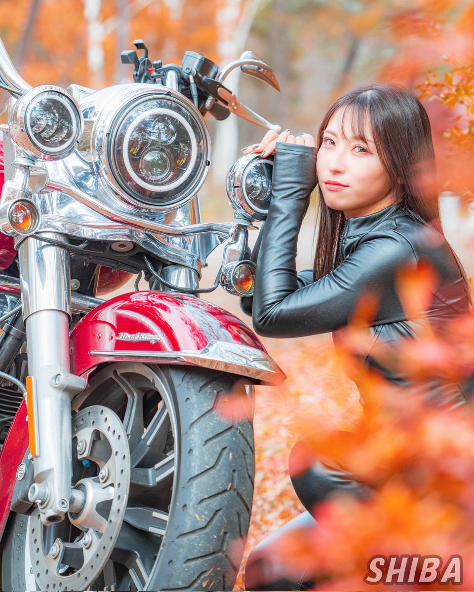 shiba_photographer (@zx14r_ks) / Posts and Replies / X