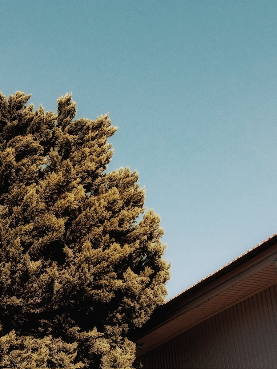 زياد (@ya3am_0) on Twitter photo 