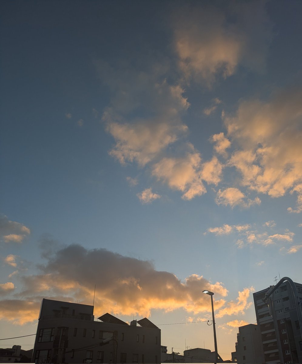 おはよう☀担当さんがお散歩コースマップを見て｢ほんとにある場所なんですか？聖地巡礼できますね｣と言ってて🤭私は今、聖地巡礼してるのかぁ……と思いながらお散歩してきました✨🐾さあ6話進めます⊂(`･ω･´)⊃