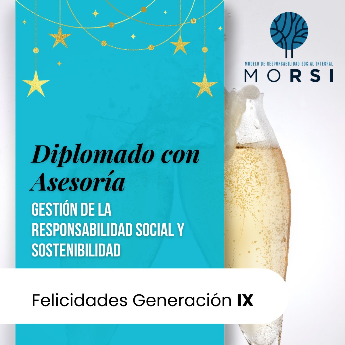 Reconocemos a la Generación IX por concluir con éxito su formación en Gestión de la Responsabilidad Social y Sostenibilidad.

¡Enhorabuena a todas y todos los participantes! 👏