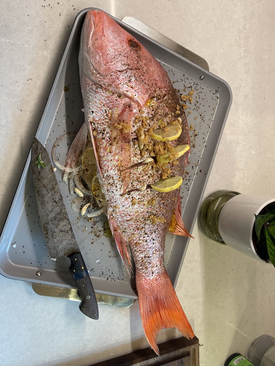 AdvancedForged's tweet image. Turkey is peasant food 

Harvested 4 days ago
140ft