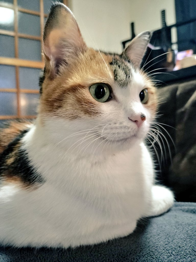 あたらしいあさ！ あたらしいせかい！ きょうもいちにちふぁいとふぁいと！