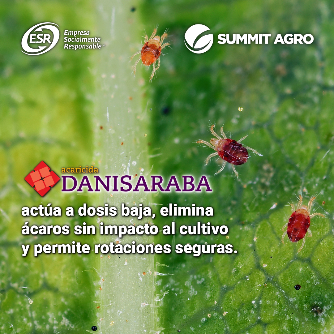 SummitAgroMx's tweet photo. Un manejo inteligente de plagas evita daños sin afectar el resto del cultivo. Conoce cómo trabaja Danisaraba:  https://t.co/5t6cI0rGNB 👌🏼

#campomexicano #bioestimulante #agricultura #cultivo #solucionesagricolas #tecnologiajaponesa #fertilizacion https://t.co/1geKrdZh5g