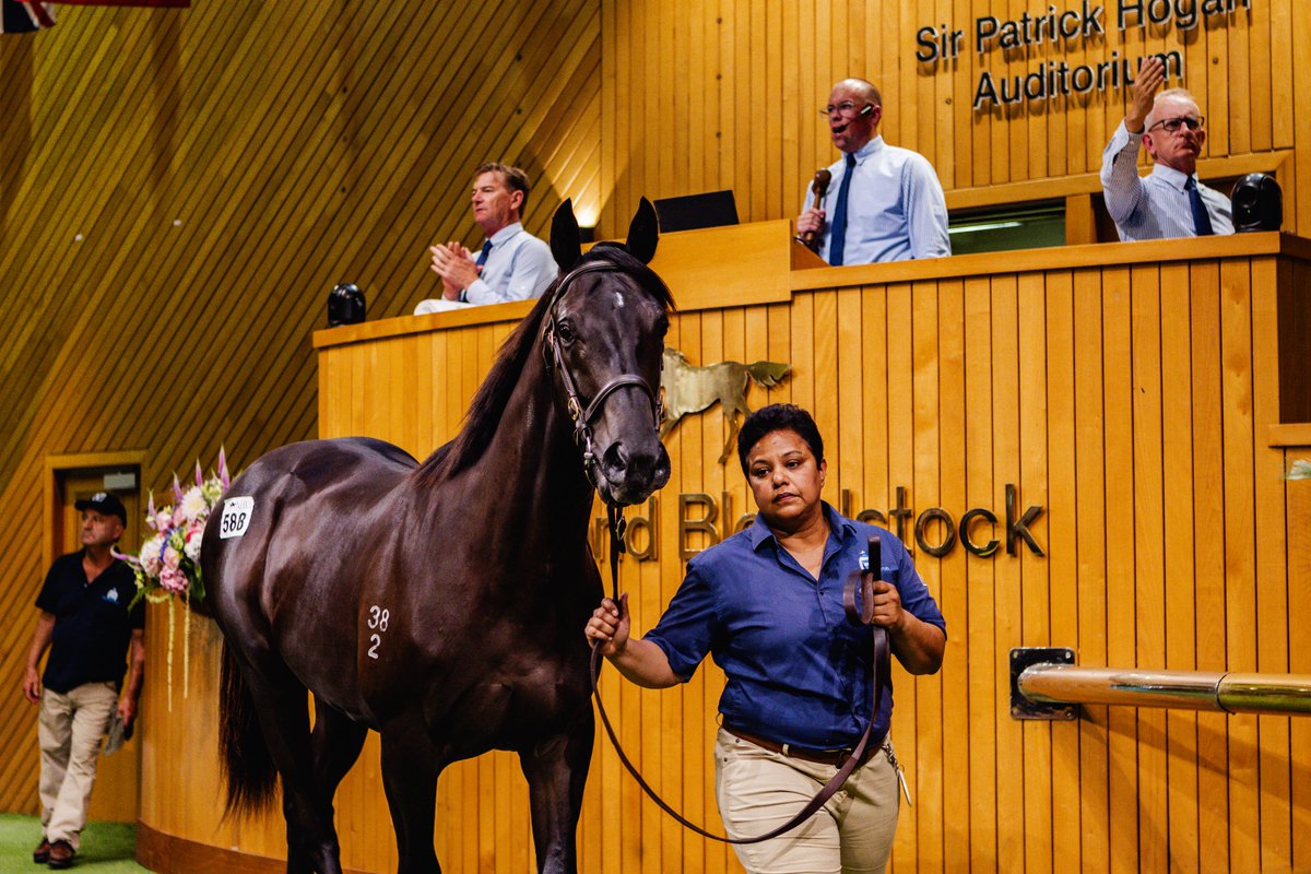 Karaka 2026 will mark 100 years of the National Yearling Sale Series, and we are pleased to offer another draft of 24 yearlings for our 31st year of selling under the Pencarrow Stud banner.

Read full &amp; view the Karaka 2026 draft online here : tinyurl.com/mwn5rme