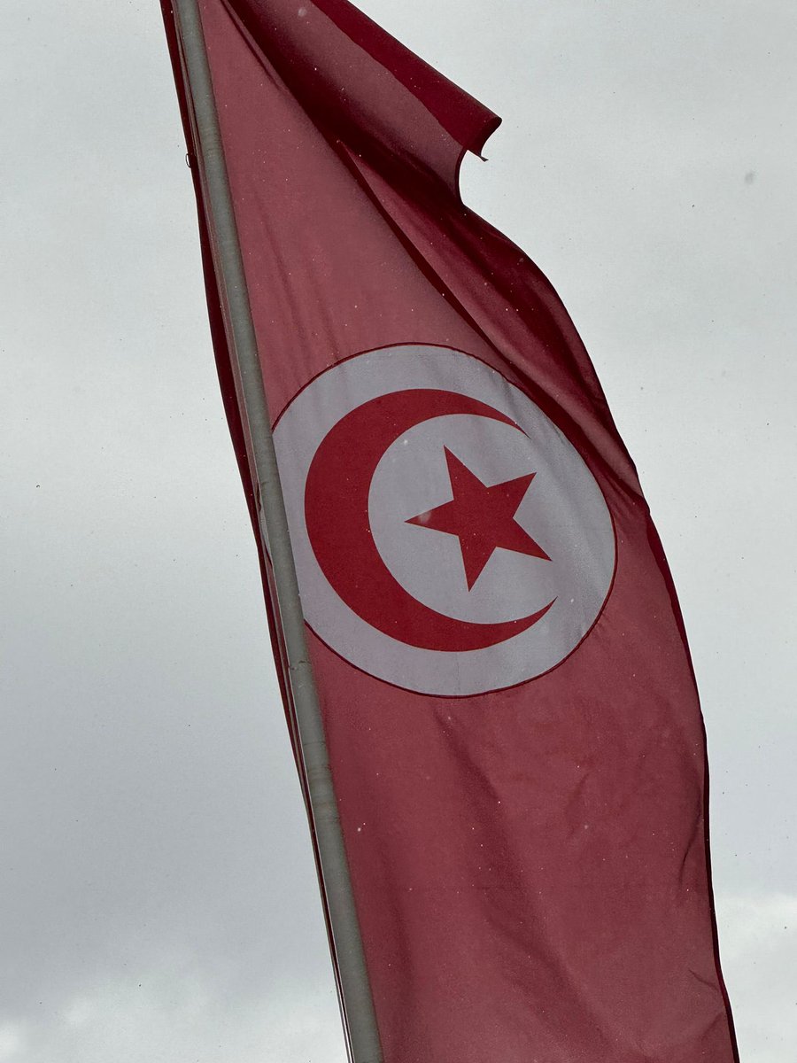 DrAlkharmany's tweet image. Farewell, Tunisia, a land of history and culture. Grateful for days filled with dialogue and partnerships that pave the way for a future of collaboration and sustainable development. Until we meet again. 

#Tunisia #GlobalPartnerships #SustainableDevelopment