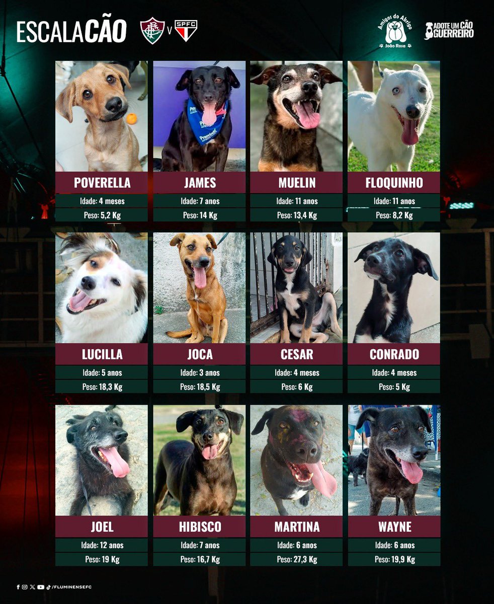 FluminenseFC's tweet image. Saiu a escalaCÃO para a partida desta noite no Maraca! 🐶🇭🇺