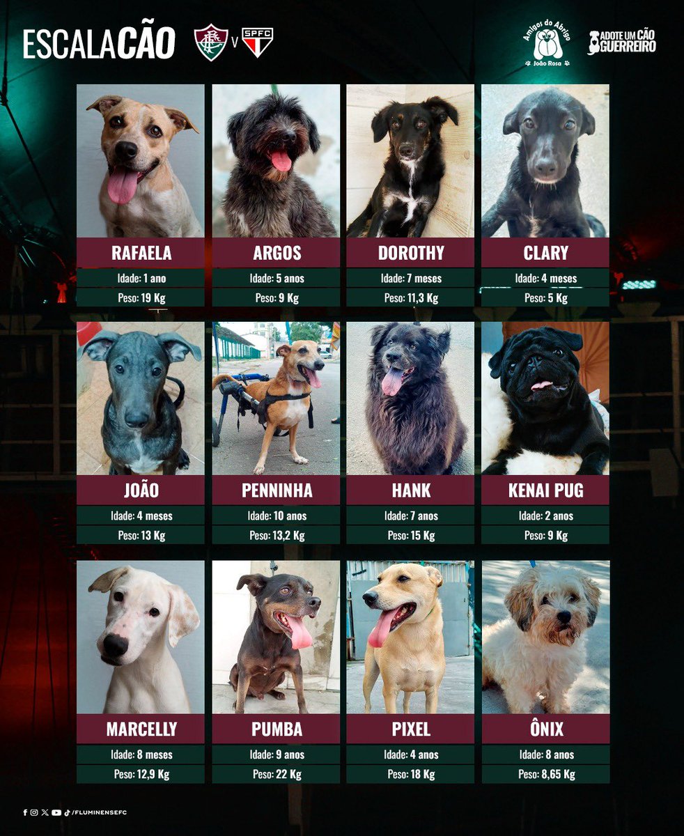 FluminenseFC's tweet image. Saiu a escalaCÃO para a partida desta noite no Maraca! 🐶🇭🇺