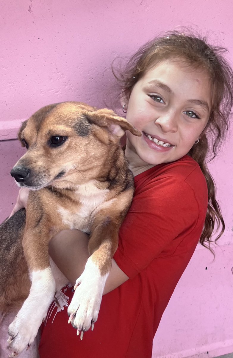 Luana está creciendo donde nacen los milagros: entre animales rescatados, historias difíciles y muchísimo amor.
En el refugio aprendió algo que muchos adultos todavía olvidan: a los animales se los respeta, se los cuida y se los quiere.