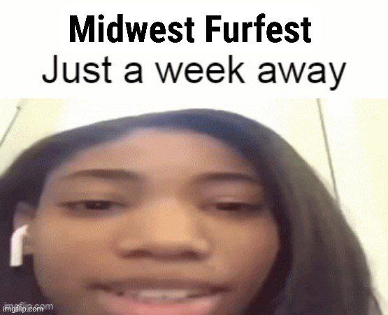 Woohoo! I'm so excited about this information! #MFF25