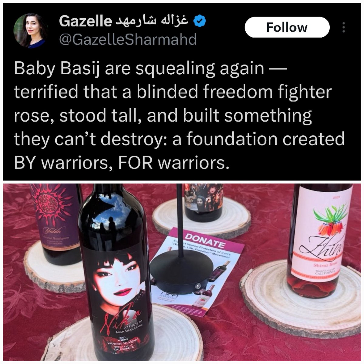 کشته شدن پدر به دست رژیم جنایتکار، نافیِ مادرجندگی نیست!
(درس‌های انقلاب ملی)