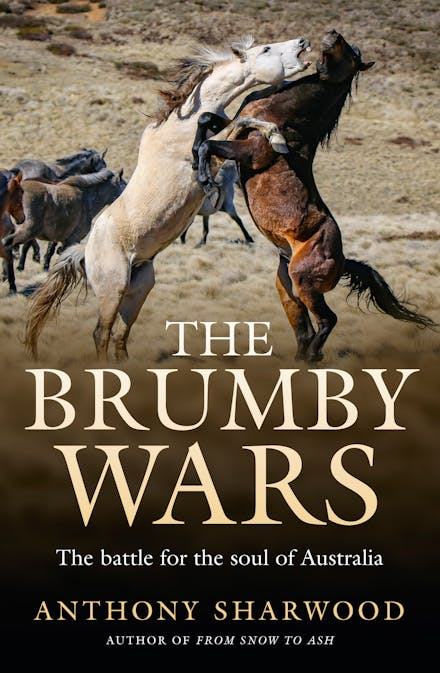 Anthony Sharwood ❄️ tweet media