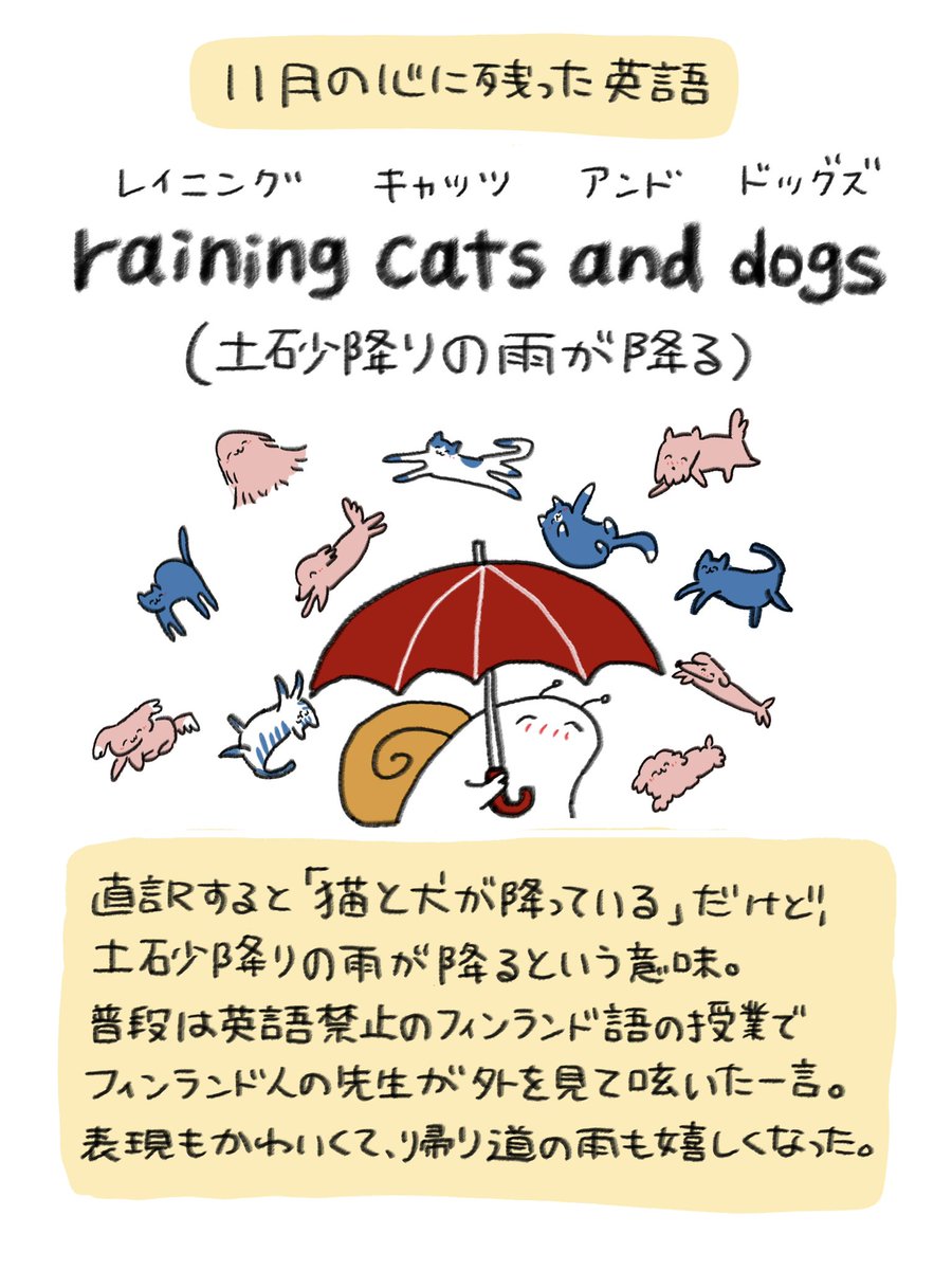 猫と犬が降っている