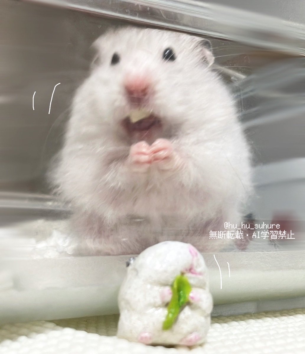 シンクロしてるな🌱

#にこみ