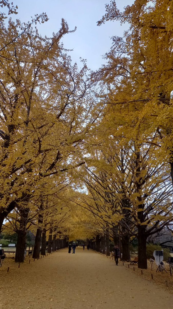 『寂』
#glm写真館
#glm795