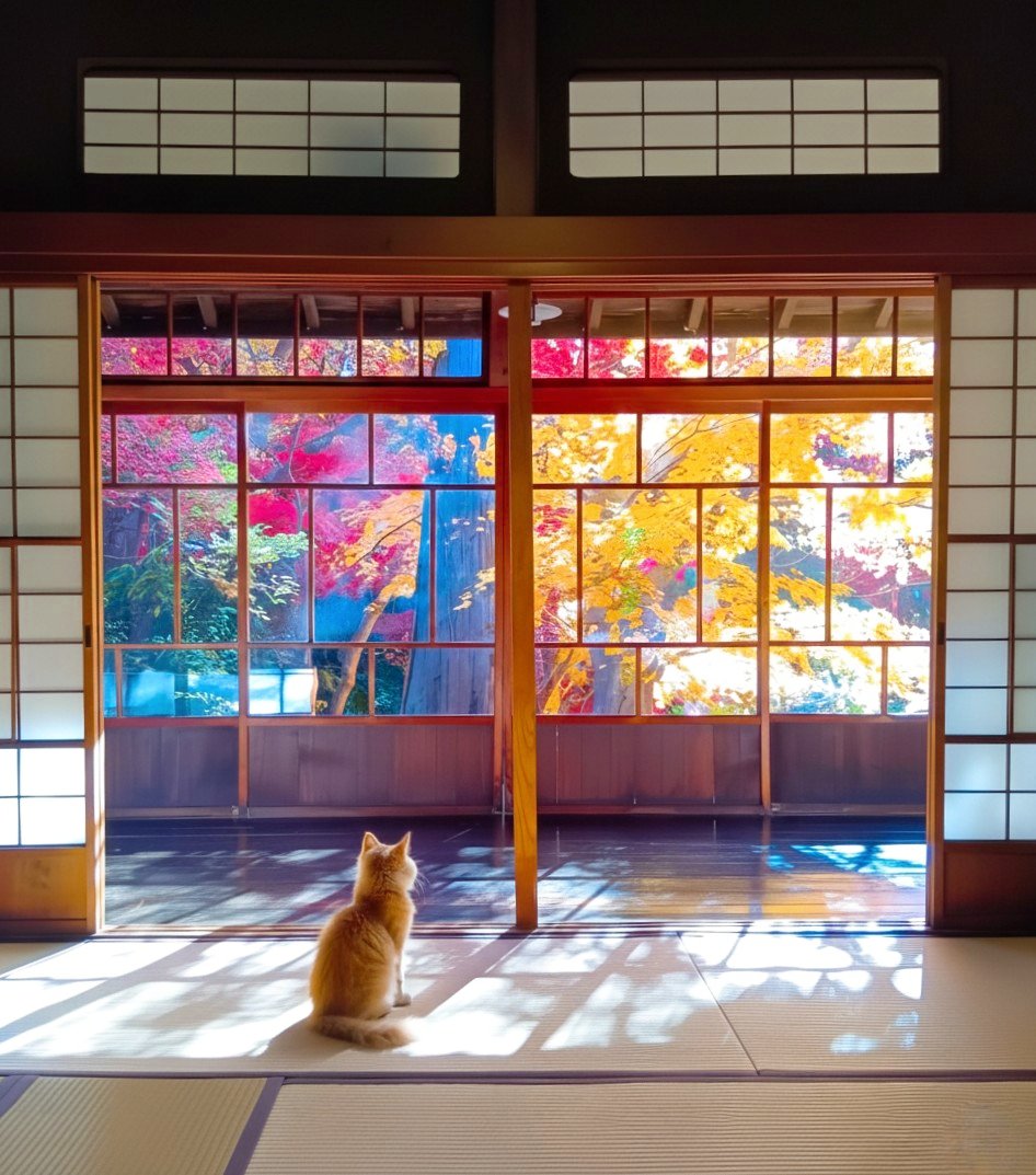 jdak2571's tweet image. おはようございます
いい日になりますように🍁