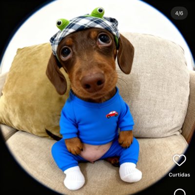 BR4malho's tweet photo. #NovaFotoDePerfil https://t.co/dIlCgEfKQ0