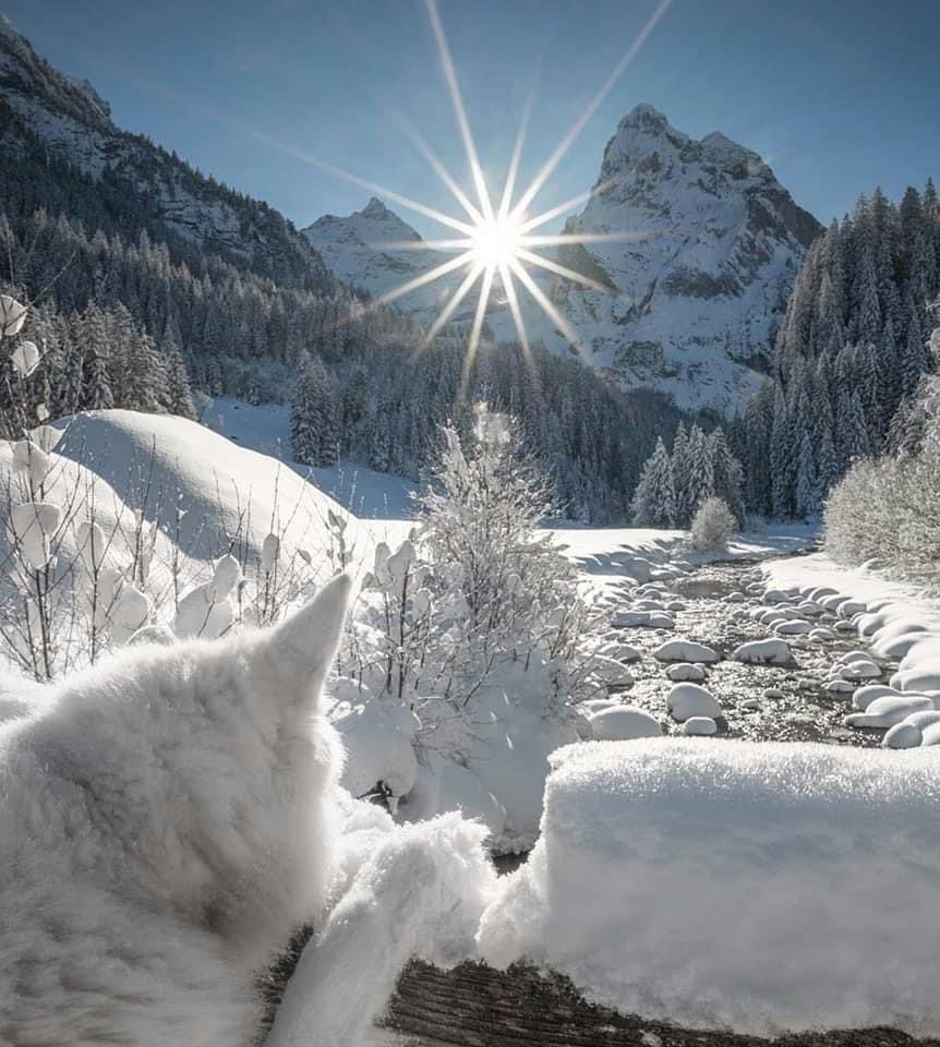 Өглөөний мэнд.