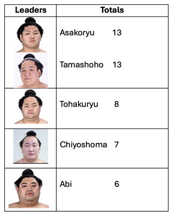 Final henka leaderboard for 2025. There were 123 henka this year with a win rate of only 58.5%. Only 1 behind the record total of 2020 (124 Henka). The 2 leaders account for 21% of all sekitori henka.