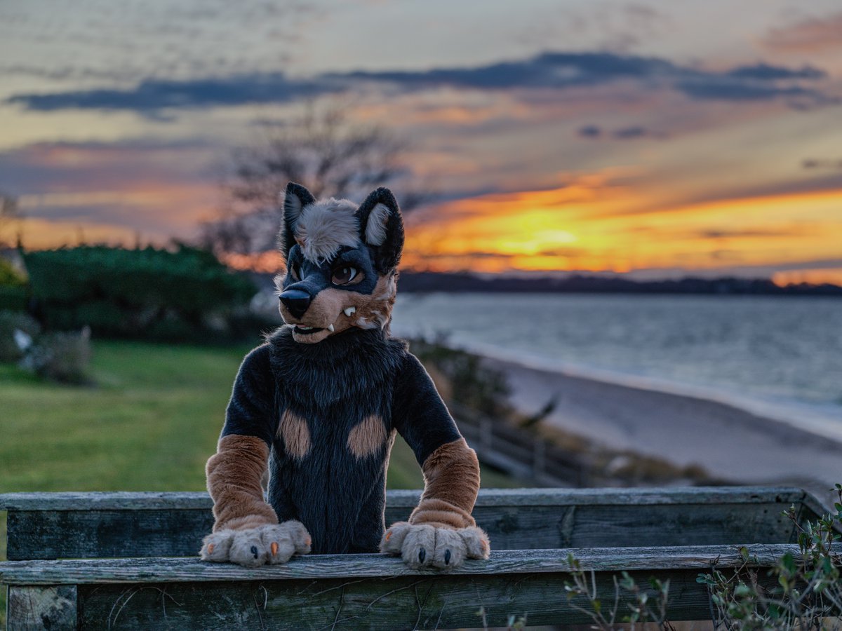 🐾 Flynn 🦊 🔜 FE 🐾 (@ArcticFoxHiro) / Posts / X