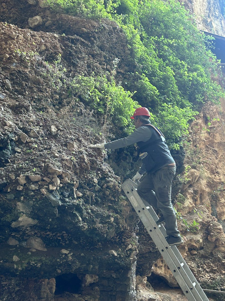 Musée d'Anthropologie préhist. de Monaco tweet media