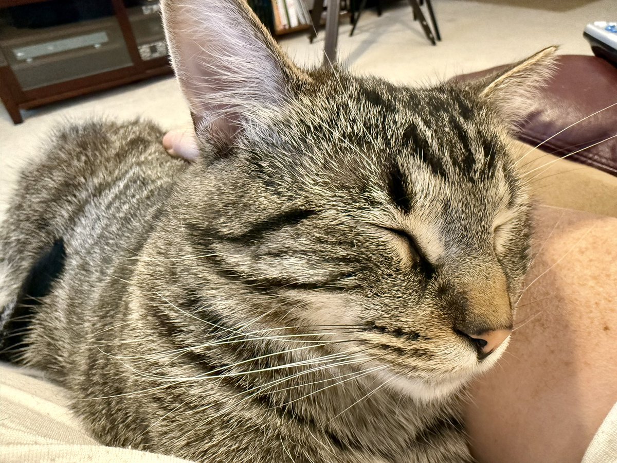 Naps BEFORE the turkey.