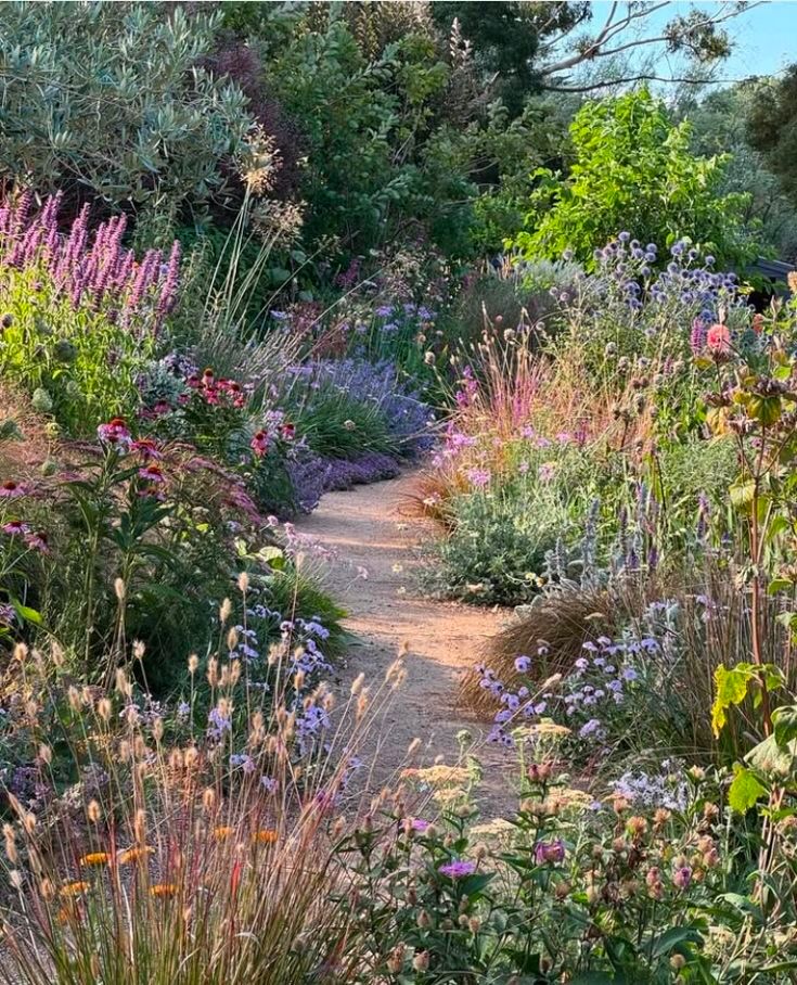 Botanichka's tweet image. Природные цветники «новой волны»: простор, обилие злаков и трав, и потрясающие ароматы!

Сады «новой волны» отличаются от классических цветников тем, что создают впечатление дикой природы.

А как вы относитесь к данному направлению в ландшафтном дизайне?
#ландшафтный_дизайн