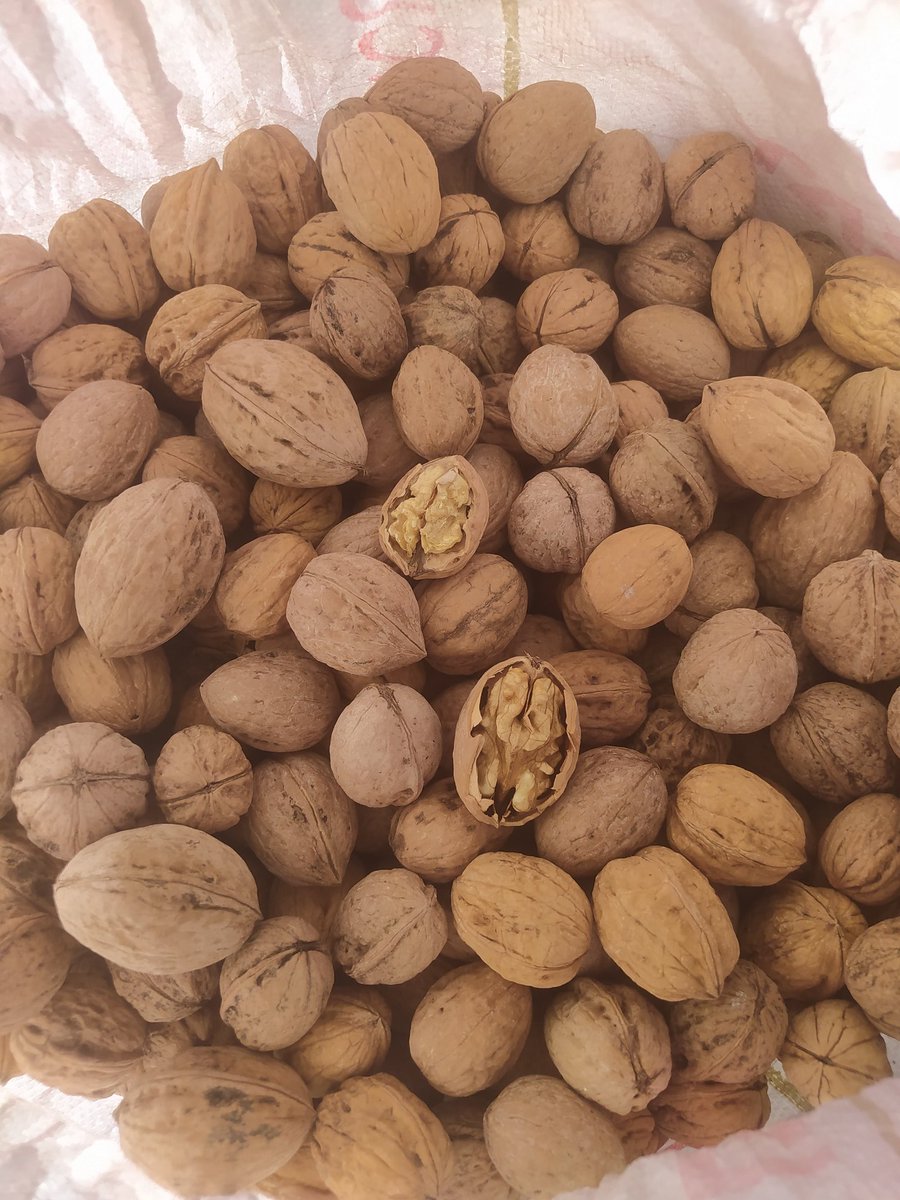 Rt yapabilirmisiniz rica etsem 🙏 
Siz hâlâ Cevizlerimizin tadına bakmadınız mı 😳