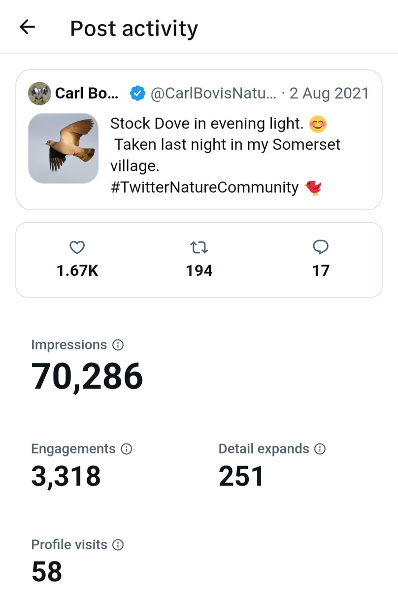 Carl Bovis tweet media