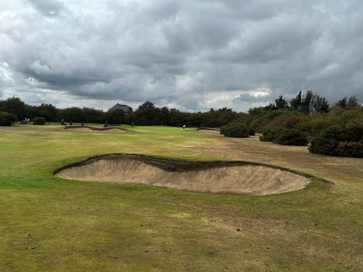 Aaron Allibon tweet media