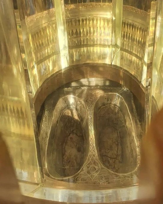 Halal Nation ☪︎ tweet media