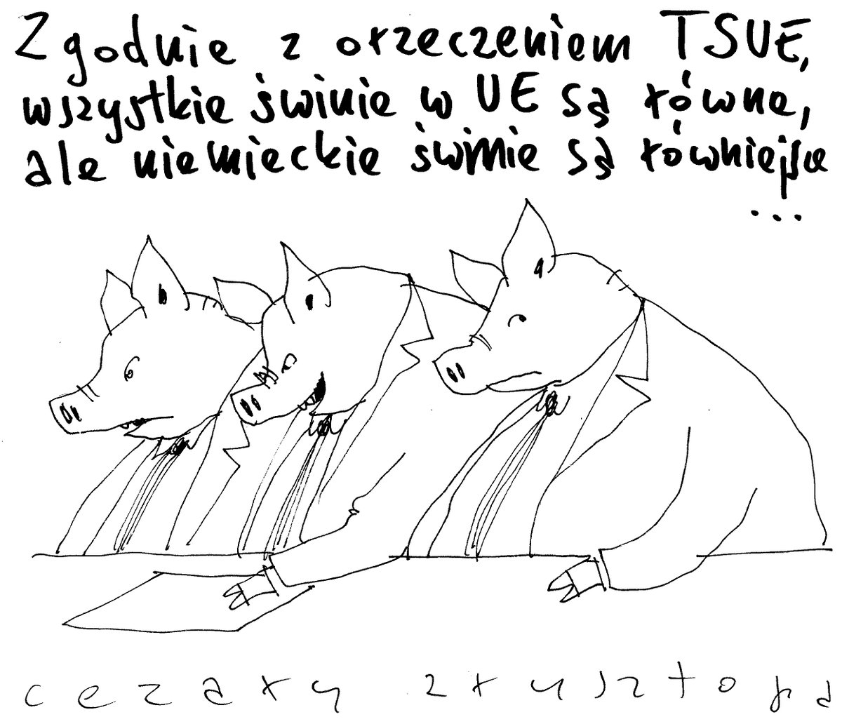 #KrysztopaKrysztopizuje TSUE. Korzystajcie póki można;). A Patronite tam gdzie zawsze:) patronite.pl/CezaryKrysztopa